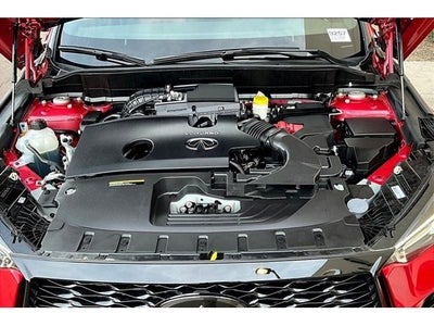2025 INFINITI QX50 Sport AWD