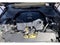 2019 INFINITI Q50 3.0t SIGN. ED SIGNATURE EDITION