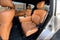 2024 INFINITI QX80 SENSORY 4WD