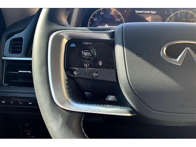 2025 INFINITI QX80 Luxe 2WD