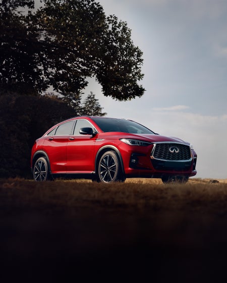 Coulter INFINITI in Mesa AZ