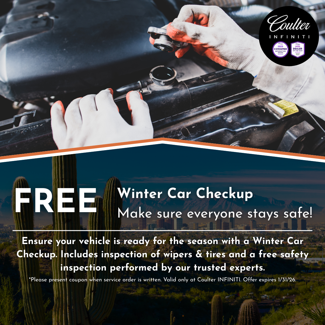 Winter car Checkup